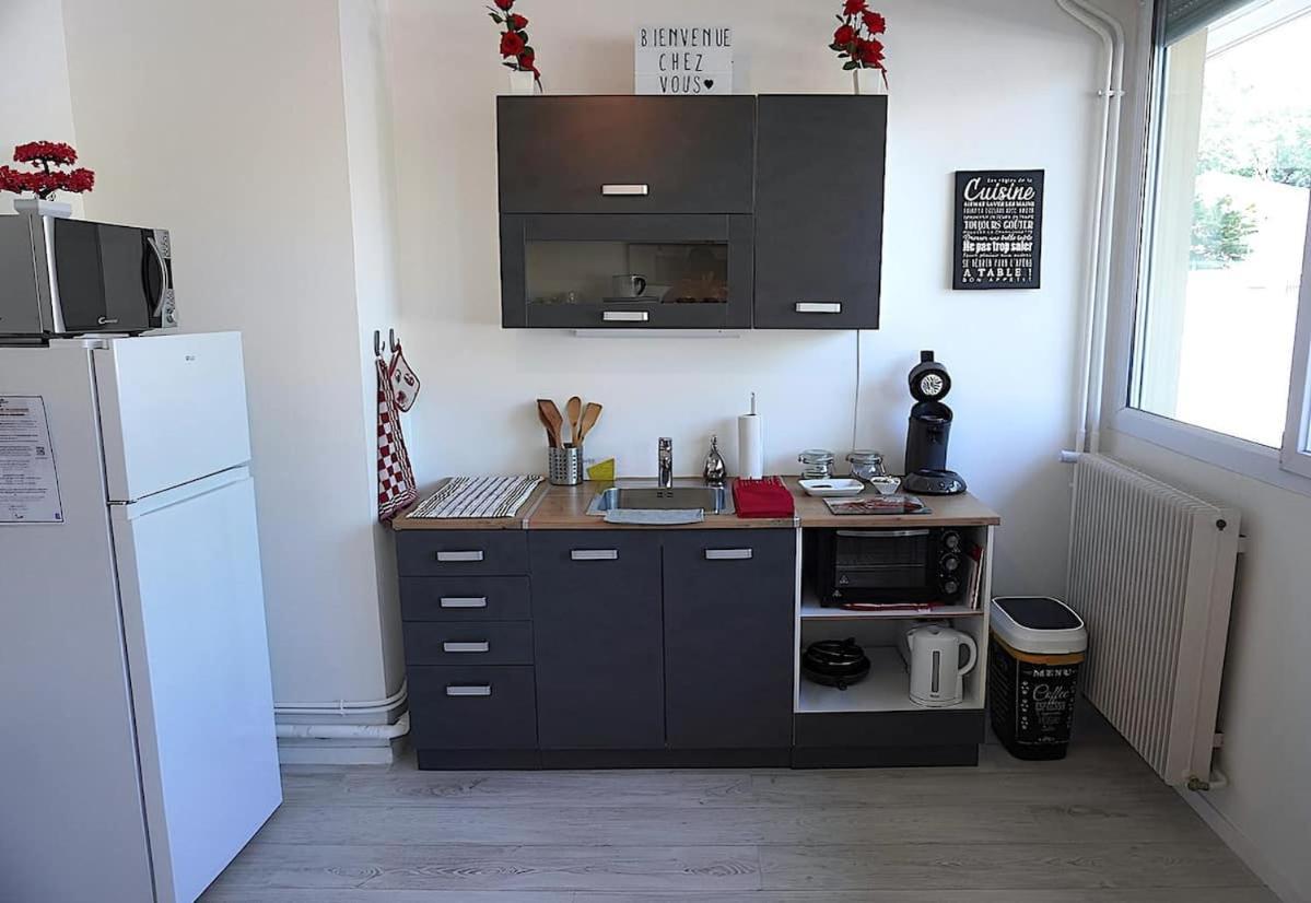 Appartement La Roseraie Parking Prive Mâcon Exteriör bild